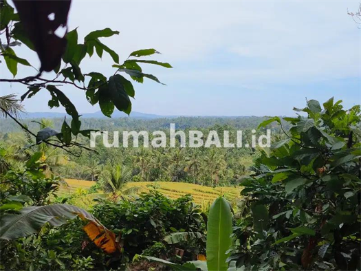 Image Property Dijual tanah kebun dengan view sawah di area villa di bali