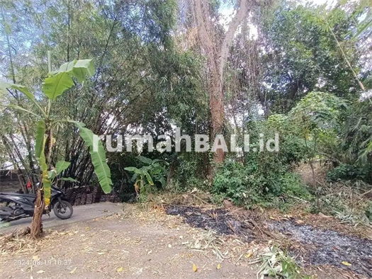 Image Property For Leasehold Yellow Zone land in Muding Kerobokan Bali