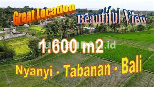 Image Property View Sawah dan Gunung, Dekat Pantai Nyanyi 1,600 m2 di Kediri