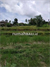 Image Property TANAH PREMIUM LANGKA Pinggir jalan utama campuhan ubud museum blangko