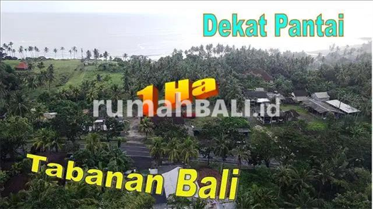 Image Property 10,000 m2 Bentuk Kotak Persegi 2 Menit ke Balian Beach