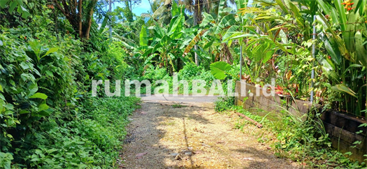Image Property Disewakan tanah 2500 m2 dkt pantai Bonian Selemadeg Tabanan Bali