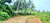 Image Project Dijual tanah view sawah dan sungai di Kerambitan Tabanan Bali