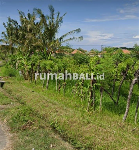 Image Property TANAH SIAP KAVLING UNTUK PERUMAHAN SUBSIDI BANJAR, BULELENG, BALI.