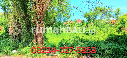 Image Property Dijual tanah 2280 m2 jl Dewi Madri Renon dkt jl Merdeka,Cok Agung Tresna