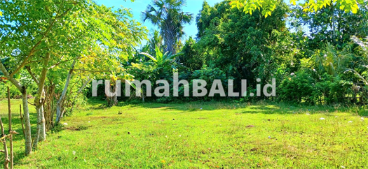 Image Property Dijual Tanah 1460 M2 Di Pengambengan Negara Jembrana Bali