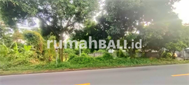 Image Properti Terbaru Dijual Tanah 1 Hektar Jl Seririt Singaraja Gerokgak Buleleng Bali