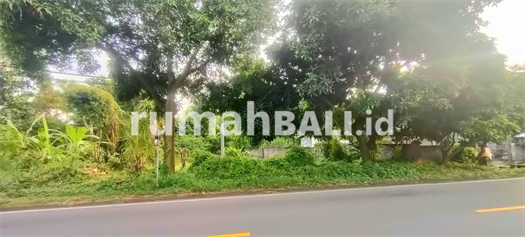 Image Property Dijual Tanah 1 Hektar Jl Seririt Singaraja Gerokgak Buleleng Bali