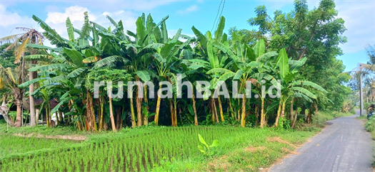 Image Property Dijual Tanah Nempel Komaneka Keramas Gianyar Bali