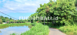 Image Properti Terbaru Dijual Tanah 3250 M2 Di Keramas Dekat Pantai Gianyar Bali