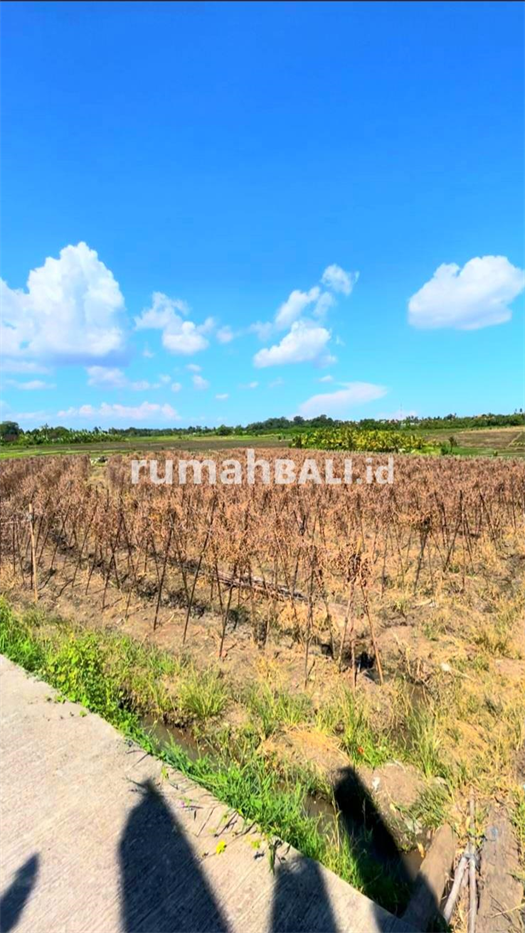 Image Property Disewakan Tanah 45 are Di Tibu Biu Dkt Pantai Pasut Tabanan Bali