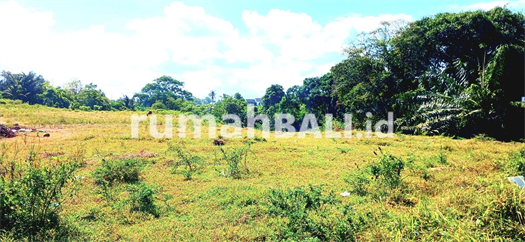 Image Property Dijual Tanah 4,5 Hektar Jalan Ida Bagus Mantra Ketewel Gianyar Bali