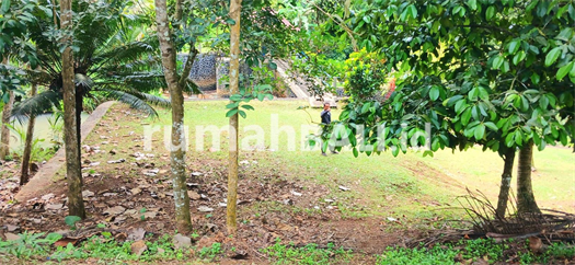 Image Property Dijual Tanah 90 Are Di Manikyang Selemadeg Tabanan Bali
