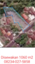 Image Project Disewakan Tanah 1060 M2 Jl Ulakan - Karangasem Antiga Manggis Bali