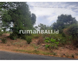 Image Properti Terbaru Dijual Tanah 9,25 Hektar Di Kubutambahan Buleleng Bali