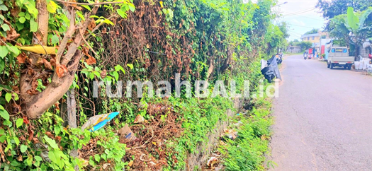 Image Property Disewakan Tanah 5480 m2 Jl Sekar Sari Dkt Sanur,Renon Denpasar Bali