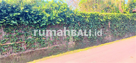 Image Properti Terbaru Dijual Tanah 850 M2 Di Umalas Kerobokan Dkt Seminyak,batu Belig Kuta Utara Bali