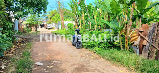 Image Property Disewakan Tanah 10 Are Jl Persada Kerobokan Dkt Ke Teuku Umar Barat, Batu Belig, Seminyak Bali