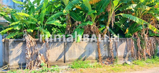 Image Property Disewakan Tanah 10 Are Jl Persada Zona Perumahan Dkt Teuku Umar Barat Kerobokan Bali