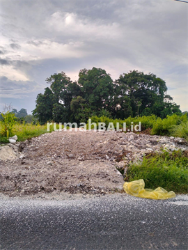 Image Project Dijual Tanah 2825 m2 Di Nyambu Kaba-Kaba Kediri Tabanan Bali