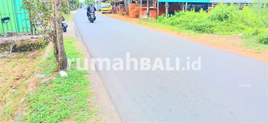 Image Property Disewakan Tanah Di Darmasaba Abiansemal Badung Bali Dkt Mengwi
