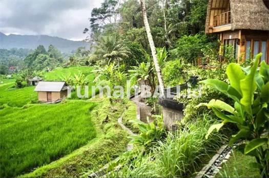 Image Property Villa asri dan natural sekali di bali timur dijual murah