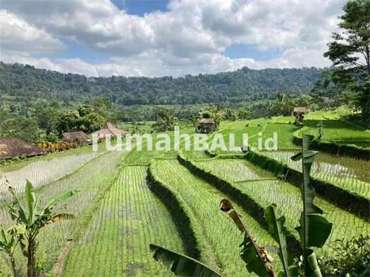 Image Property For sale 5 room villla in sidemen with beautiful  view