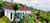 Image Property Villa murah asri siap huni di buleleng bali
