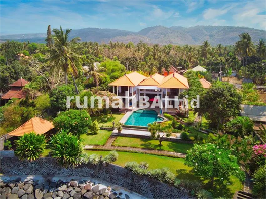 Image Property Elegant 4-Bedroom Oceanfront Villa in North Bali - Direct Beach Access