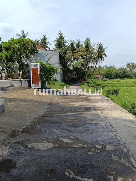 Image Property Villa strategic location and in a quiet environment- Lovina North Bali