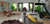 Image Property Dijual villa lantai 2 view jungle lokasi tegallalang ubud