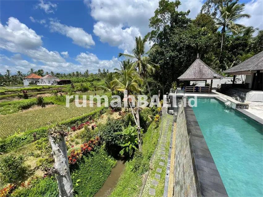 Image Property Villa view sawah di Ubud Bali