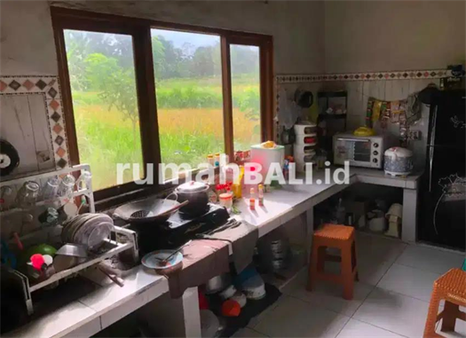 Image Property Di jual Rumah sederhana lantai 1 view sawah