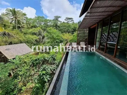 Image Property Villa Hotel full furnished di Ubud Bali. View hutan dan sungai.