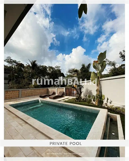 Image Property Brand New 2 Bedroom Villa In Ubud View Sawah