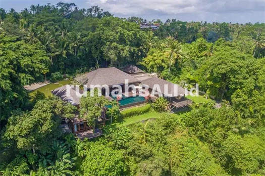 Image Property LUXURY JUNGLE VIEW VILLA FOR SALE AT UBUD BALI