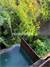 Image Property villa murah mas ubud river view junggle