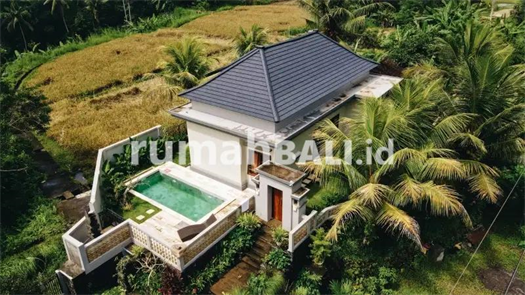 Image Property Dijamin Murah Villa view sawah di Ubud strategis dekat Tampak Siring
