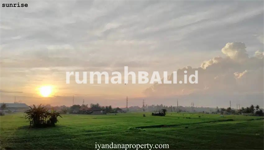 Image Property ID:F-328 Dijual Villa Gianyar Bali Dekat Ubud
