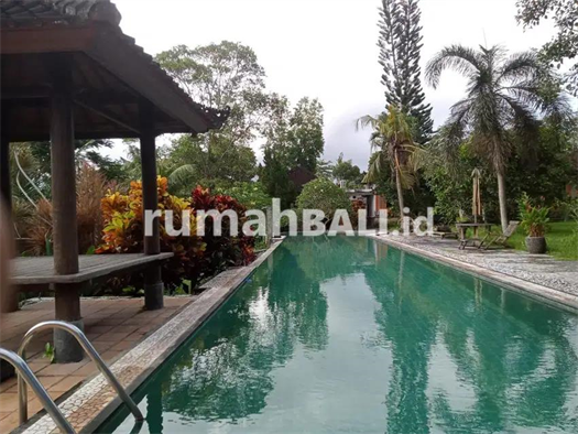 Image Property Turun harga Dijual villa view sawah 11bed singapadu Gianyar Bali