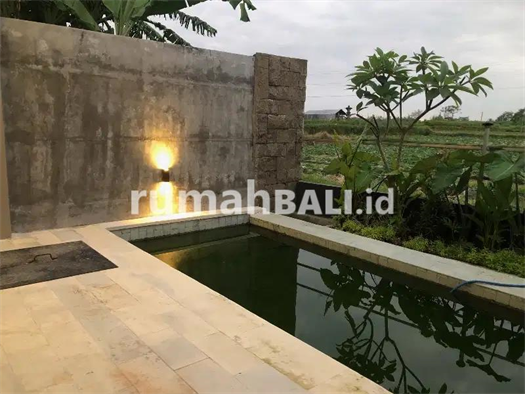 Image Property Villa bangunan baru di sewakan dan di jual lokasi Sukowati , Gianyar