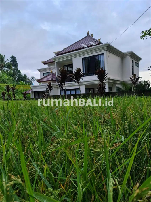 Image Property Rumah Villa Bangunan Modern di Tegalalang Ubud Bali