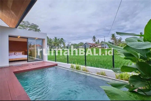 Image Property Dijual villa lantai 1 view sawah lod tunduh